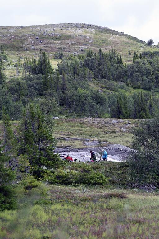 Valadalens Fjaellstation Exterior foto